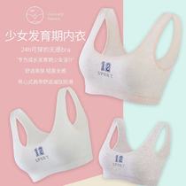 The festival girl underwear big child development period cotton vest type Primary School junior high school student bra girl bra