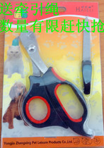 Mini living pet nail clippers nail clippers nail clippers rabbits rabbit kittens kittens nail clippers