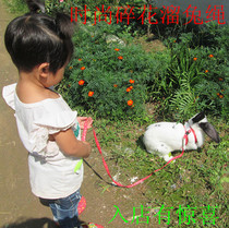 Slip Rabbit Rope Rabbit Pet Holding Rope Traction With Printed Angel Breast Back Artificial Rabbit chain Sub-small Machia