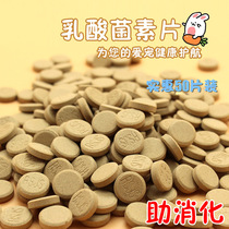 Lactic Acid Bacteria Vegetarian Sheet Aid Digestion Booster Growth Anti-Soft Poo Pet Special Conditioning Gut Lactic Acid Bacteria 50 Sheet Clothing