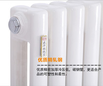 HEATING SHEET HOME WATER HEATING WALL-MOUNTED RADIATORS STEEL DIPOLES CONCENTRATED HEATING ULTRA-LONG-QUALITY CORROSION RESISTANT CUSTOMISATION