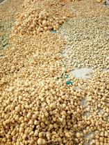 Natural various shapes mini gourd 5cm about 1 yuan a full 20