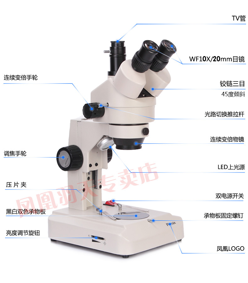 眼科显微器械图谱图片