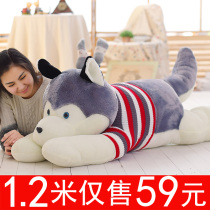 Husky doll plush toy large lying dog cute pillow sleeping pillow Ragdoll girl send girlfriend