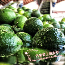 Fangwood meadows No photosensitivity Foot citrus essential oil Unilateral Essential Oils 10 ml