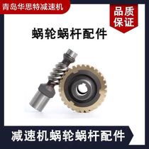 Manufacturer direct sales NMRV worm gear reducer accessories rv reducer turbine worm gear accessories copper wheel