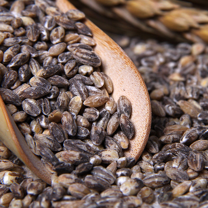 黑小麦 麦仁农家黑麦米去皮黑麦 富硒黑小麦250g 五谷杂粮 黑麦仁_爱