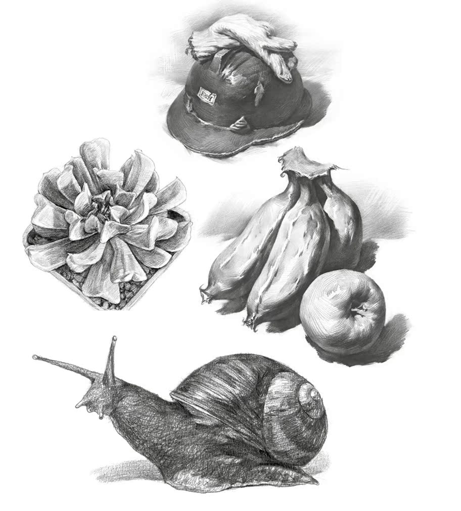 素描书入门自学零基础初学教材30天学会绘画手绘插画画素描静物临摹