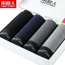 Antarctic mens underwear young men breathable boxer shorts pure cotton mid-waist sports four-sided cute shorts head tide