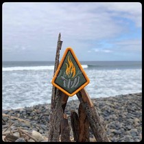 Spot PDW Carry The Fire Badge 2019 Morale Patch armband