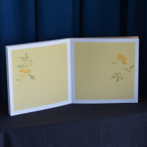 Chinese style high-end atmospheric business event meeting guests sign in this party signature book sign-in book roster