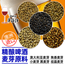 Barley malt home-brewed beer Australia Pilsen malt pale Ayer malt Crystal Black malt