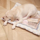 Good-looking pet ice pad ice nest cooling nest summer ice nest ice bed