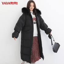 Duck duck long down jacket 2020 New Women young fashion over the knee winter thick casual loose wind jacket