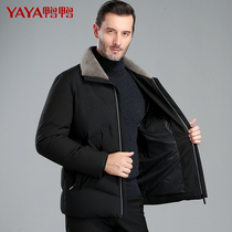 Duck Duck Daddy Eiderdown Clothes Short business middle-aged woolen collar casual minimalist mid-age mens winter clothing warm jacket