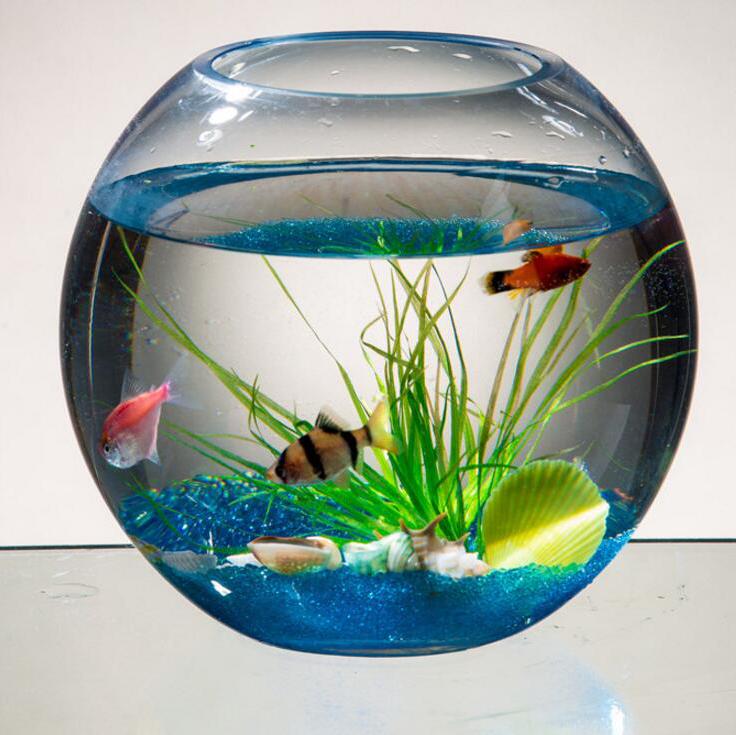 创意透明圆形玻璃鱼缸
