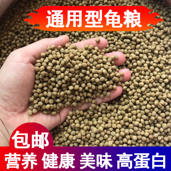 General turtle food grass tortoise crocodile turtle stone money special food pellet type bulk small Brazilian turtle big turtle feed
General turtle food grass tortoise crocodile turtle stone money special food pellet type bulk small Brazilian turtle big turtle feed