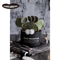 ins Nordic wind iron jars small potted table top green plant Cactus Multimeat Vegetal Holiday Creative Companion Gift