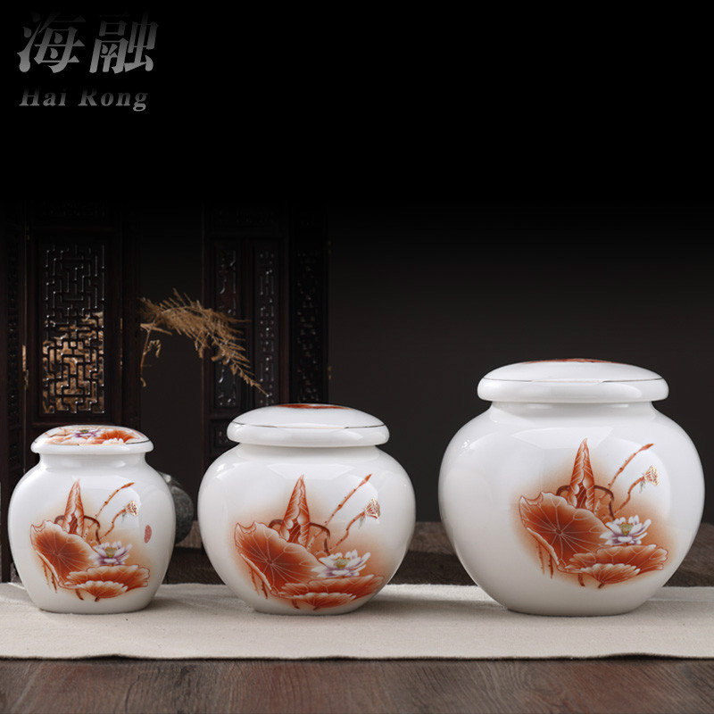 HaiRong creative caddy fixings large ceramic POTS seal pot leaf tea tea box box of tea set small jar