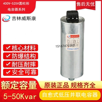 Wescom BSMJ0 48-15 20 25 30 33 5 40 50-3 Cylindrical low voltage shunt capacitor