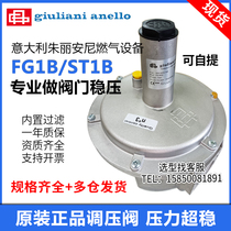 Italian Giuliani anello natural gas pressure relief valve FG1B25 gas reduction valve