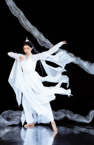 Roche original design and clothing of classical dance dress national wind and fugitive dress ancient style can wear the costume