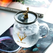 Light luxury style glass ins teacup Office men and womens cup Creative personality trend with cover handle