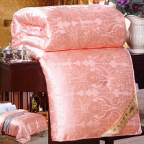 Winter thickened quilt core quilted winter warm bedding students double air conditioning by special price for spring and autumn