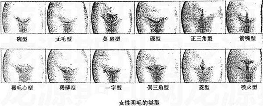 女生体毛多是一种什么体验第三个脸红了