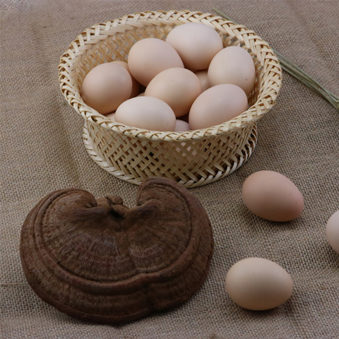 神农架牧场灵芝鸡蛋图片