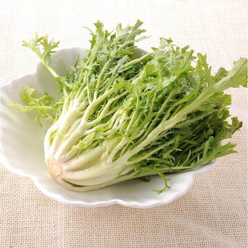 新鲜蔬菜 苦细叶 狗芽菜 苦叶生菜 苦苣 250g半斤装