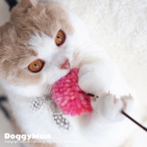 Egg master Japanese DoggyMan Dogman cat stick wool bamboo handle cat stick cat toy