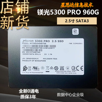 CRUCIAL Magnesium Light 5300PRO 960G Enterprise-grade Solid State Hard Disk SATA2 5 MTFDDAK960TDS
