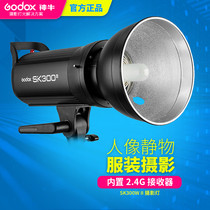 Shenniu SK300W second generation studio flash single light photography light studio portrait large home photo