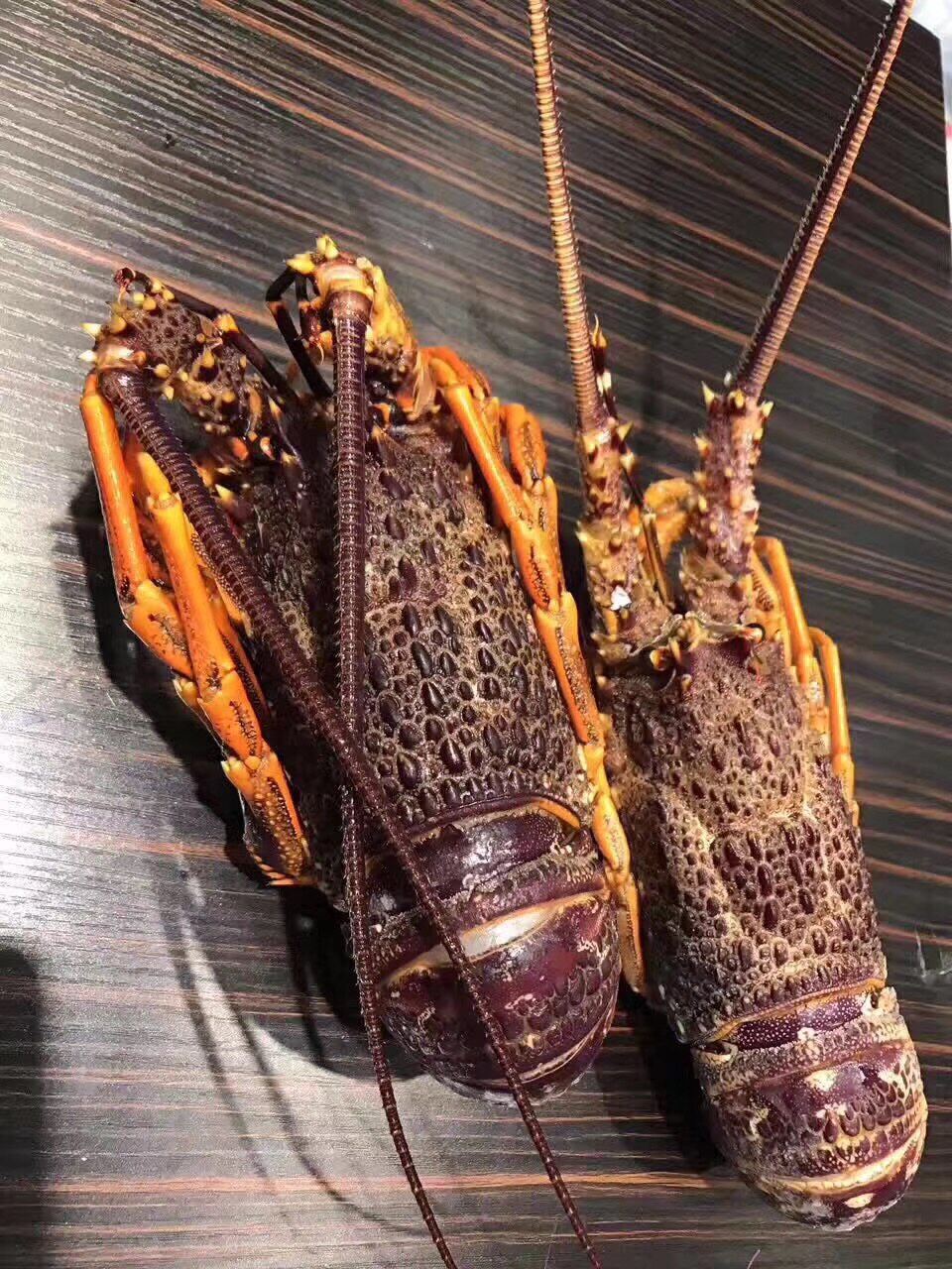 澳洲新西兰海鲜水产现冻冰鲜大龙虾岩龙虾红龙虾2只约400g/只_7折现价