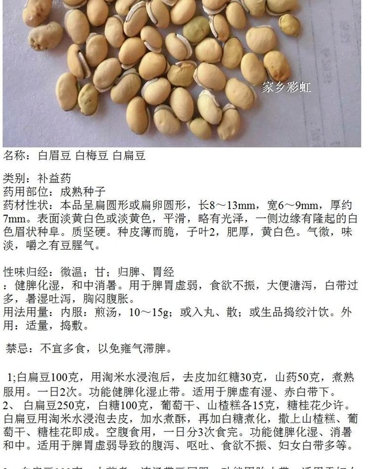 伏牛山农家自产白梅豆子 中药材白扁豆白扁豆的滋补,保健_7折现价10元