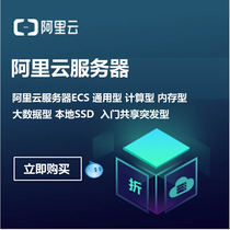Ariyun Server Rents Ali Cloud Server Preferential Discounted Ali Cloud Server ten thousand Domain City