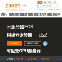 Ariyun Server Host Ali Cloud Gaming Server Ali Cloud Server Rent ten thousand Domain City Host