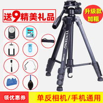 Canon Tripod 70D80D6D7D2 SLR Camera 700D760D800D5D3 Stand Mobile Phone Live Angle Frame