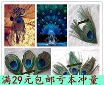 DIY Handmade Ornament Accessories Material Earrings Clothing Wedding Celebration wedding decorated with natural primary color peacock feathers