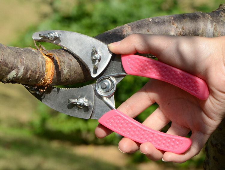 果树环剥刀 环割剪苗木葡萄环割刀 割树皮刀园林果园环剥剪环枝剪