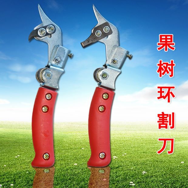 39全进口环割刀蜜柚果树苹果梨树可调节大小树可环割全国包邮