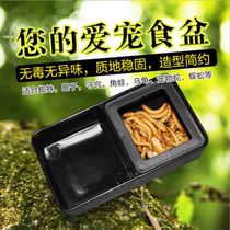 Reptile water basin Tortoise Lizard Lizard lizard Corner Frog Spider Feeding a water pan Tray Water Tray Case small number