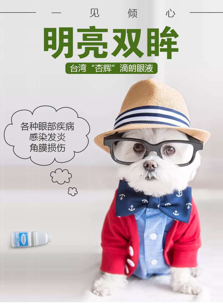杏辉滴朗滴眼液狗狗猫咪流眼泪加菲猫去泪痕神器结膜角膜炎眼药水