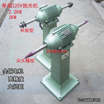 Single-phase vertical polishing machine floor type double-station Sander two grinding machines Sander metal polishing machine