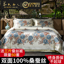 Fahrenheit Silkworm man 19 mmi double-sided silk four-piece set 100 Mulberry silk embroidered wedding bedding set