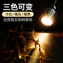 South American cylinder spot light Three lakes ornamental native cylinder clip light South American landscaping special light LED fish tank light Aquatic plant spot light