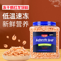 Red arowana feed color-enhancing lyophilized shrimp Antarctic krill tropical fish Golden dragon Silver arowana food Antarctic shrimp arowana feed