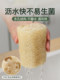 Loofah 식기 세척 유물 천연 로파 식기 세척 천을 사용하지 않고 천을 사용합니다. Loofah 식기 세척 유물 천연 로파 식기 세척 천을 사용하지 않고 천을 사용합니다.