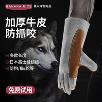Anti-bite gloves Pet dog bath Anti-bite Thickened Anti-Cat Arrest Dog Training Dog Catch Kitten Hamster Animal Catch